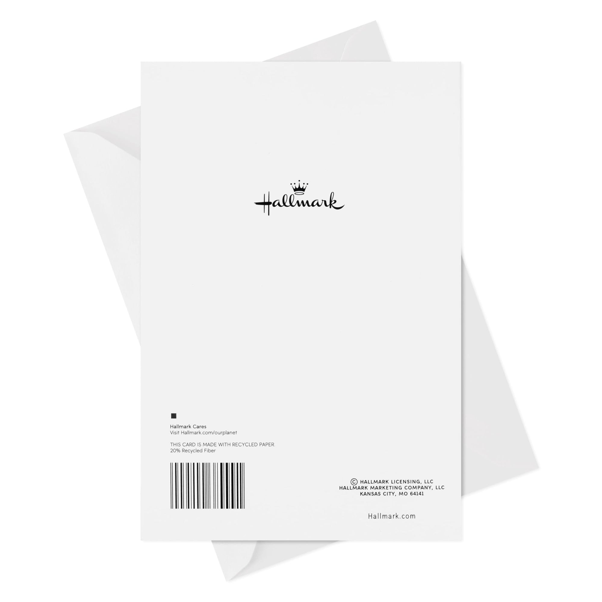 Hallmark Sympathy Card (Gemstone Feather)