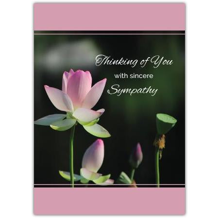 Thinking of You With Sympathy