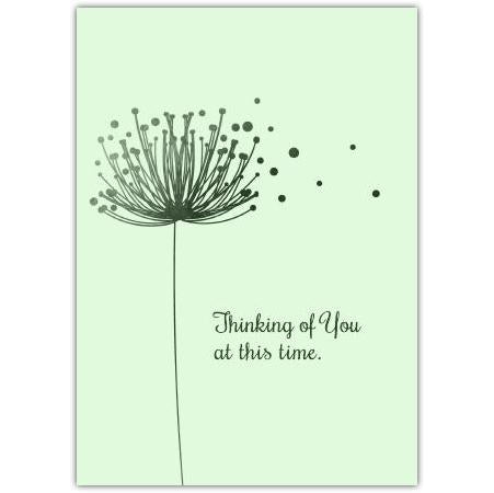 Thinking of You At This Time
