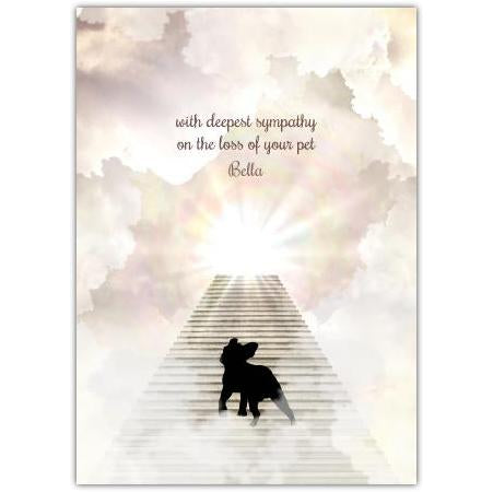 Loss Of A Pet